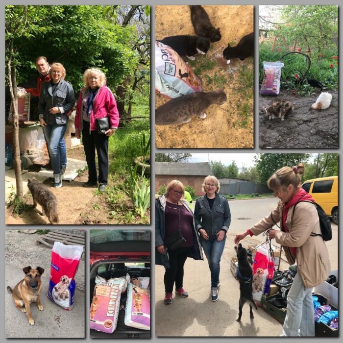 Із турботою про тварин