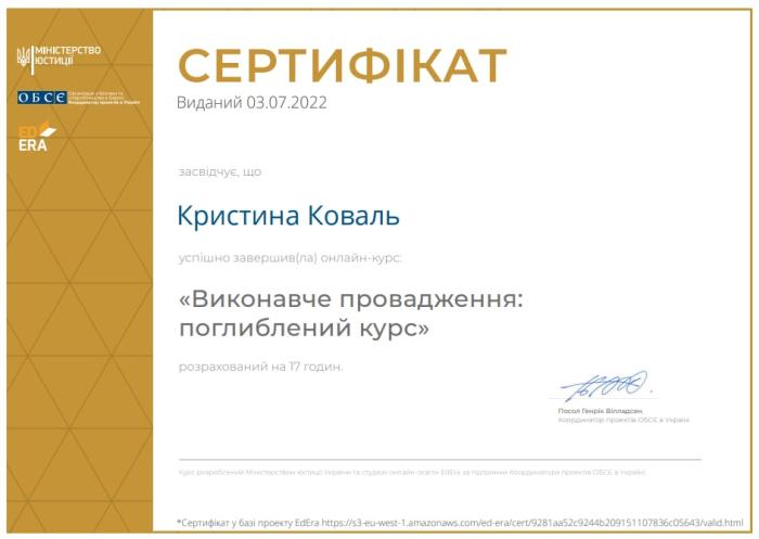 Виконавче провадження: поглиблений курс