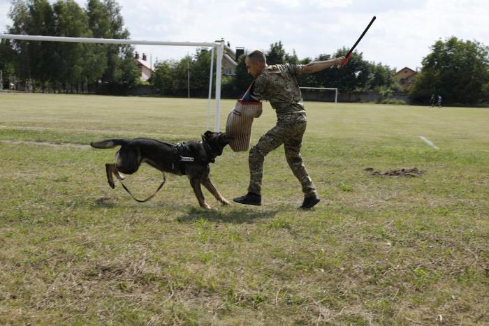 Бінарне заняття за участі кінологів