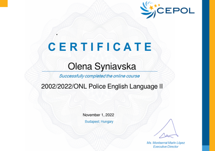 Підвищення професійної майстерності