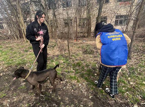 Студентки Сумської філії ХНУВС допомагають Центру перетримки тварин