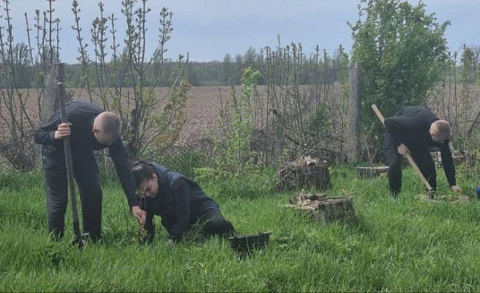 Курсанти та працівники університету взяли участь в акції «Посади дерево миру»