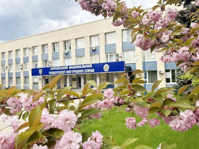 В університеті квітнуть сакури