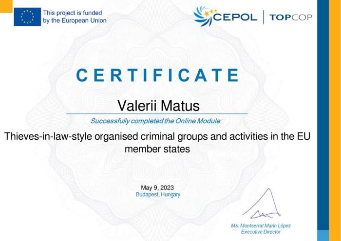Онлайн-модуль «Організовані злочинні групи по типу «злодіїв в законі» і їх діяльність в країнах ЄС»
