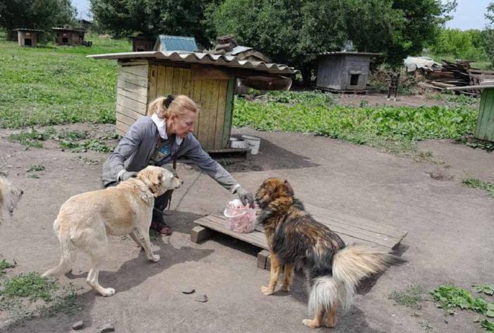 Турбота про тварин