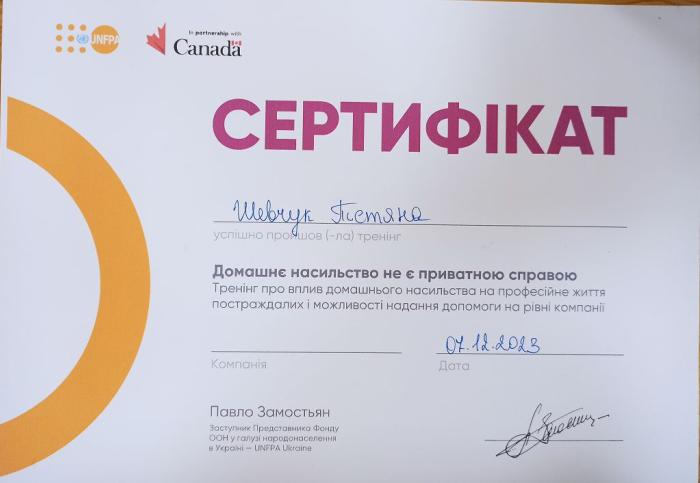 Участь у тренінгу з питань домашнього насильства