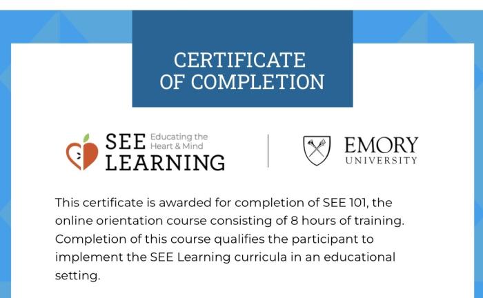 Training in the program 