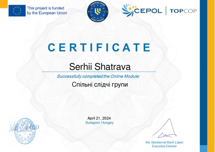 Участь у вебінарі «Спільні слідчі групи» від СEPOL