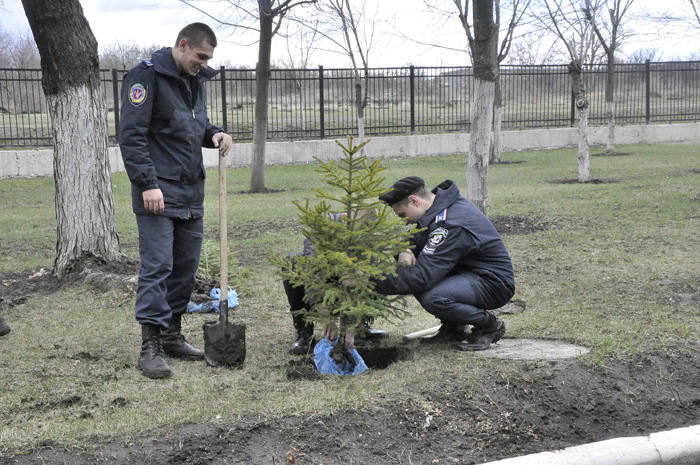 Озеленення території університету