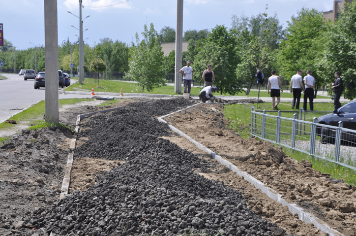 Впорядкування та озеленення території університету триває