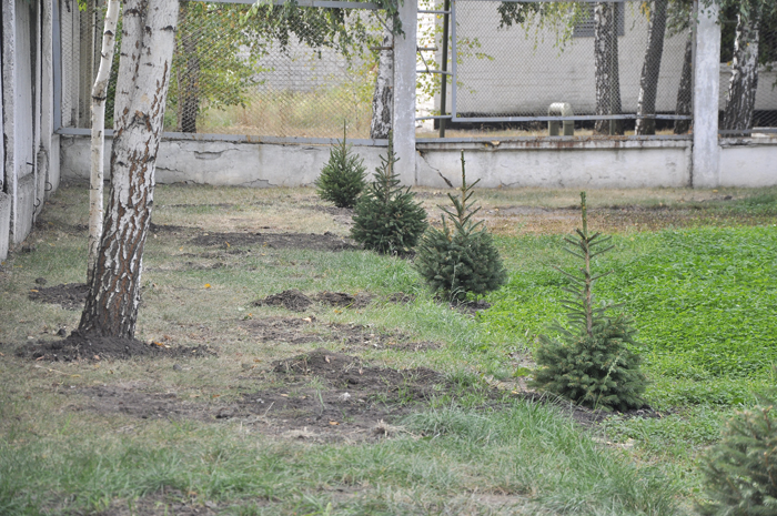 Територію університету прикрасили нові саджанці