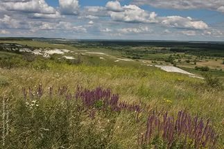 До уваги працівників, курсантів, студентів, слухачів!