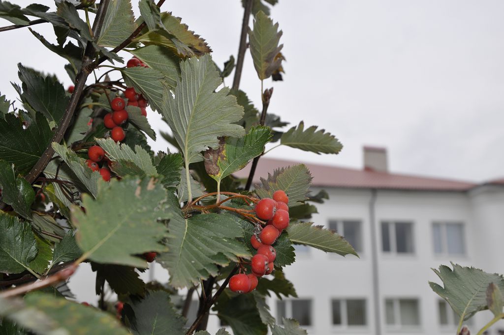 Університет восени (ВІДЕО, ФОТО)