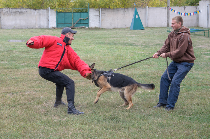 Курсанти-першокурсники познайомилися з роботою кінологічного центру