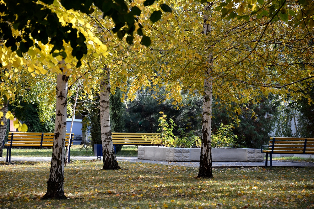 Університет восени