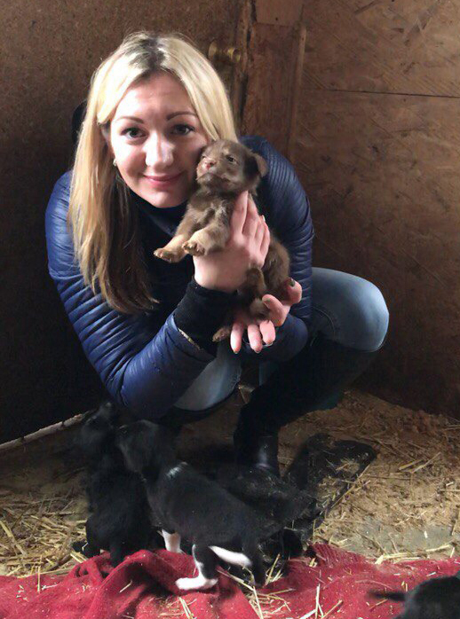 Допомога працівників університету чотирилапим друзям