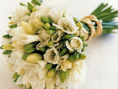 Шановні жінки!