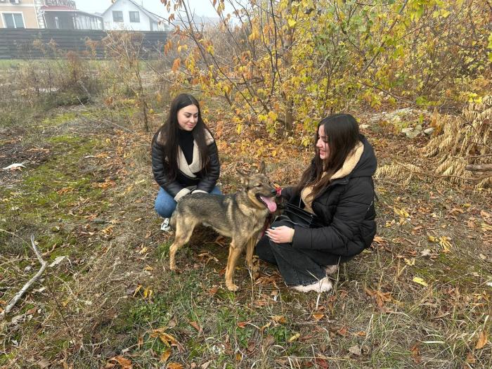 Волонтерська акція у Сумському товаристві захисту тварин