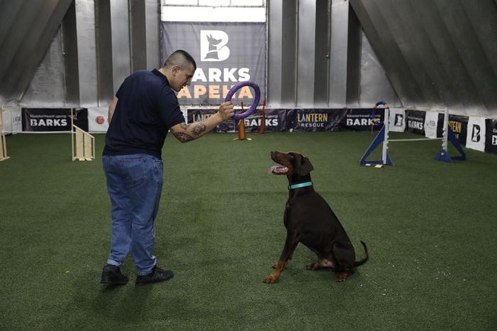 Турбота через довіру: реабілітаційна зустріч із чотирилапими помічниками