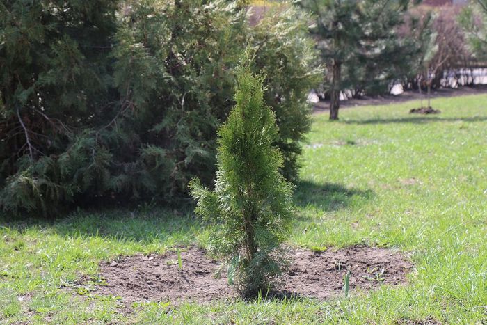 21 квітня – День благоустрою