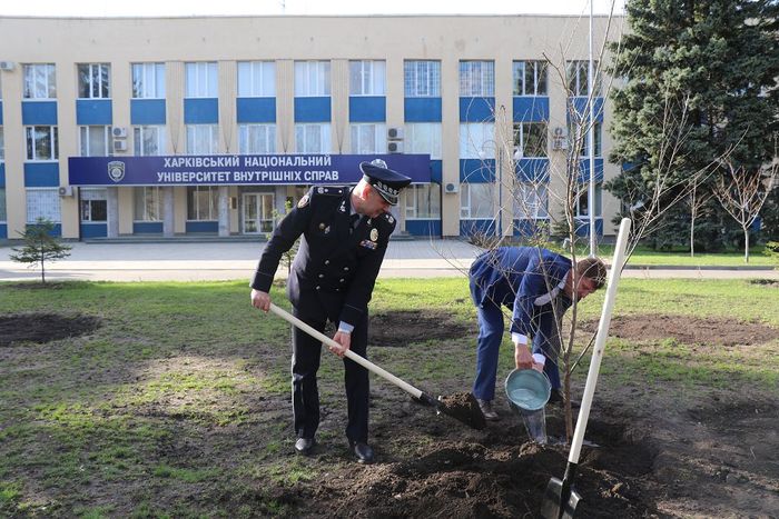  Займаємося благоустроєм разом