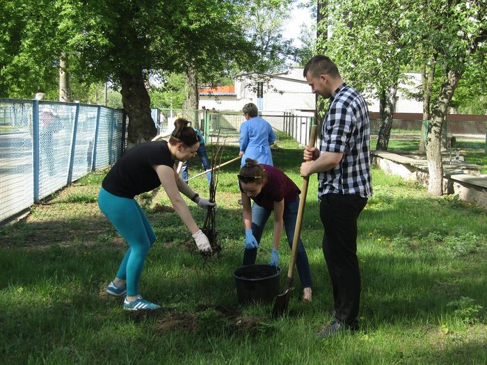 День благоустрою у Сумській філії