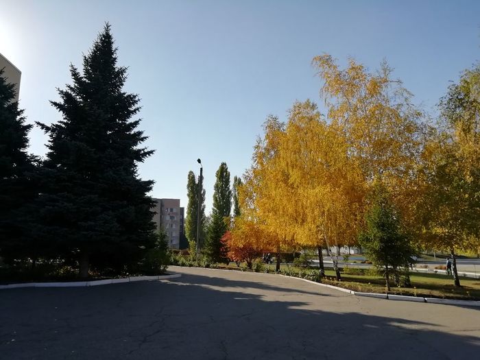 Яскравий карнавал осені