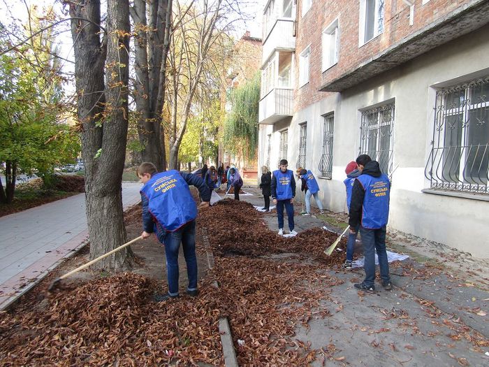 Осіння толока