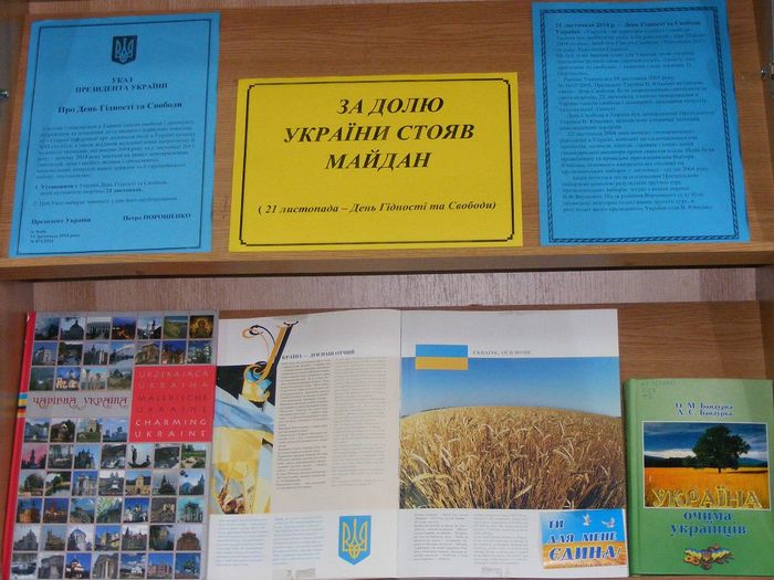 За долю України стояв Майдан