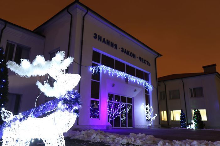 Напередодні зимових свят (відео)