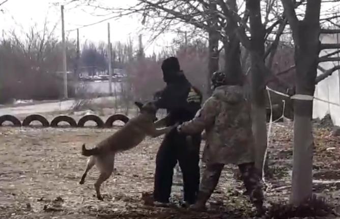 Загальні правила підготовки та дресирування службових розшукових собак