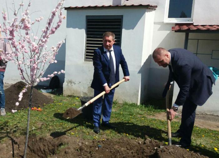 Озеленення території університету