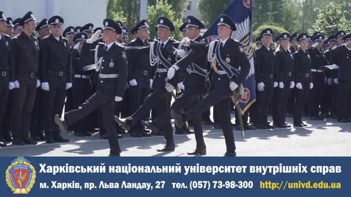 Обираємо професію разом (відео)