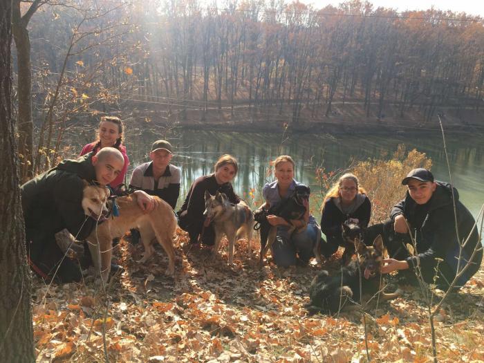 Допомога притулку «Добрий Дім» 