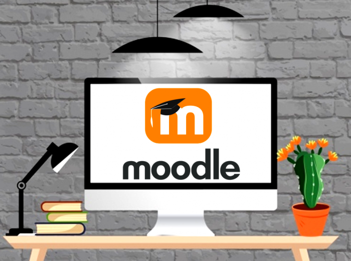 Training sessions through distance learning