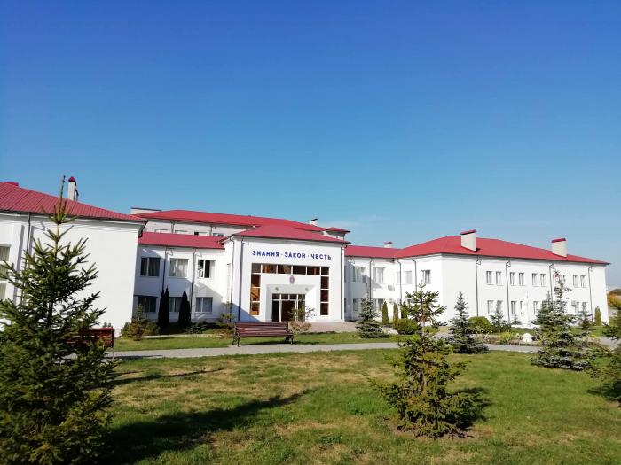 Online lectures of a well-known speaker of educational institutions for students