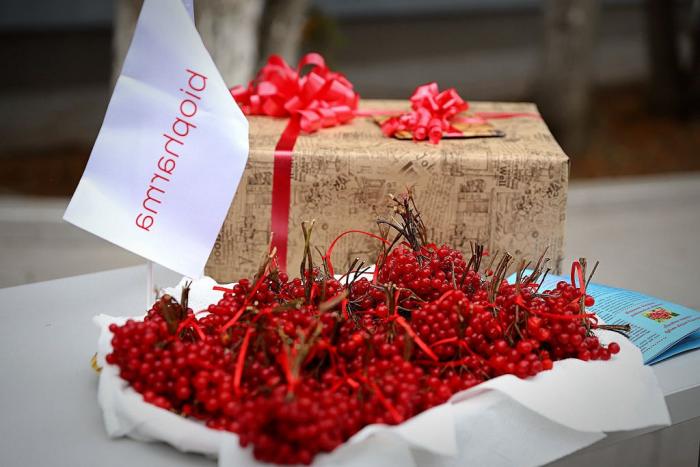 Акція «Посади калину»