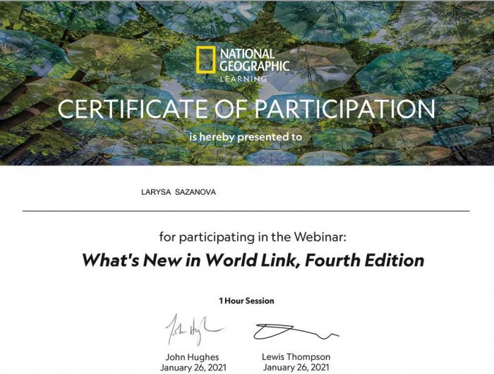 Professional self development is a necessary condition for pedagogical activities